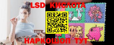 крисы Будённовск