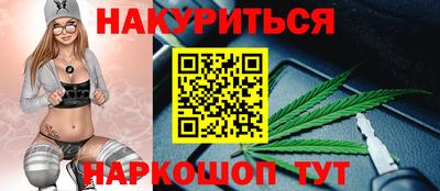 крисы Будённовск