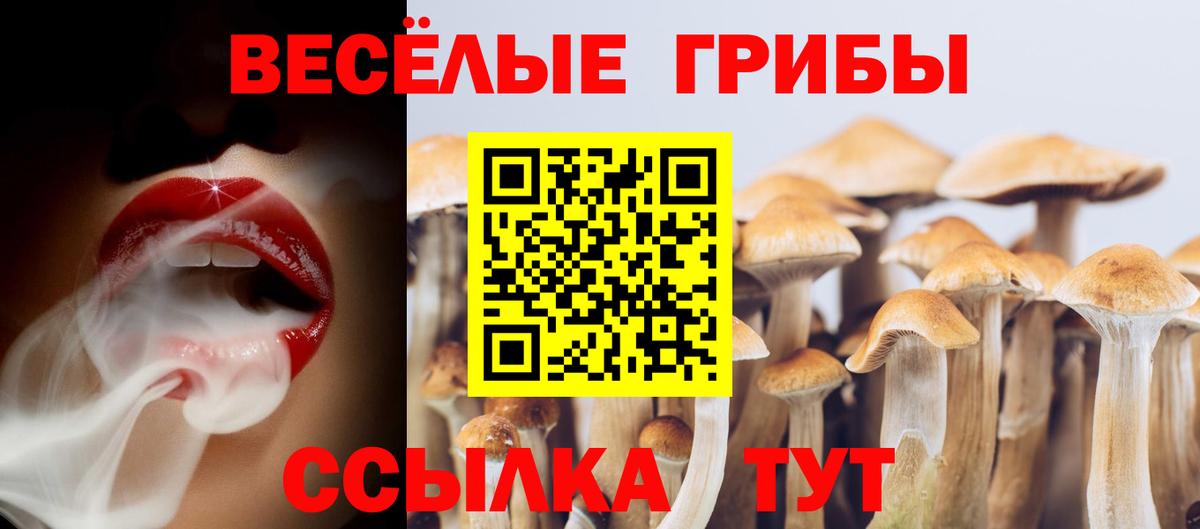 Галлюциногенные грибы ЛСД Нарткала